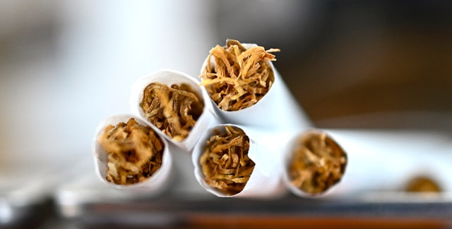 Mix CBD with Tobacco: Exploring Benefits and Risks – King Palm