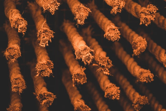 Premium Blunt Wraps for Smooth Sessions: Enhance Your Smoking Experience