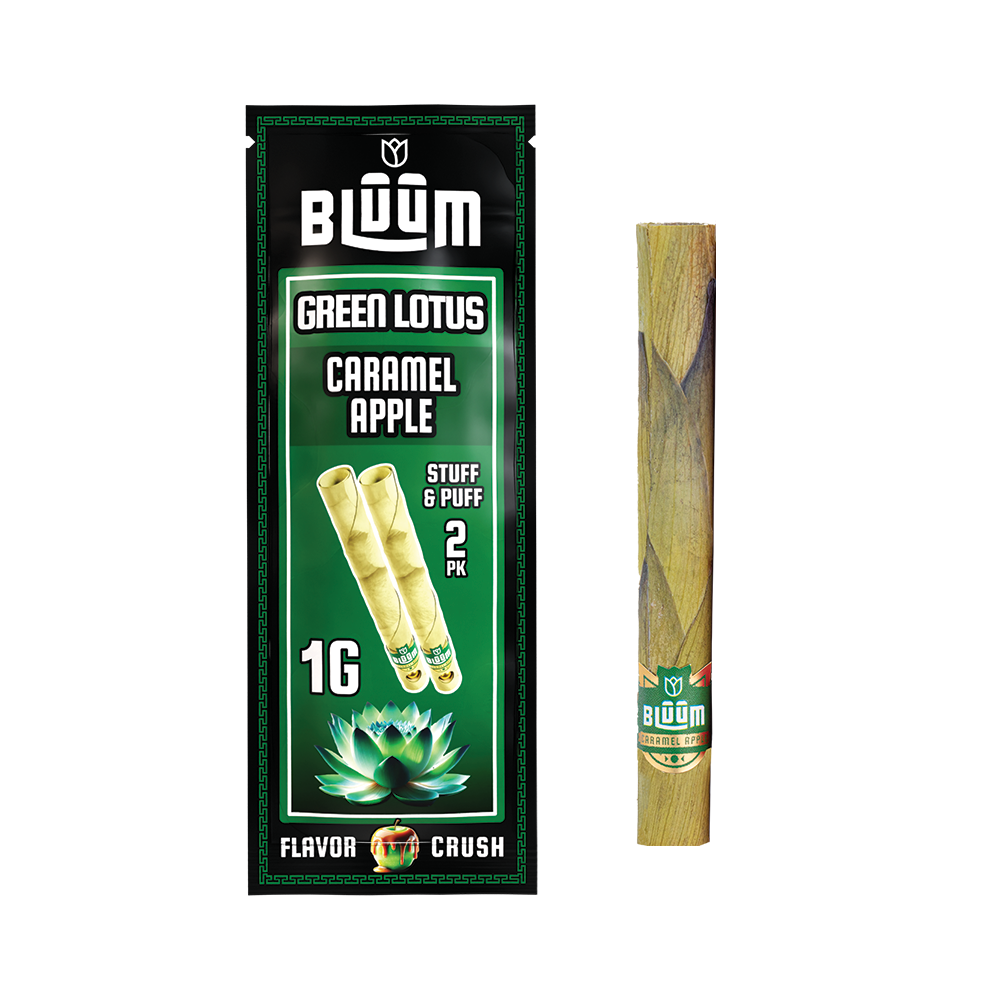 Green Lotus - Caramel Apple King Palm Green Lotus - Caramel Apple King Palm