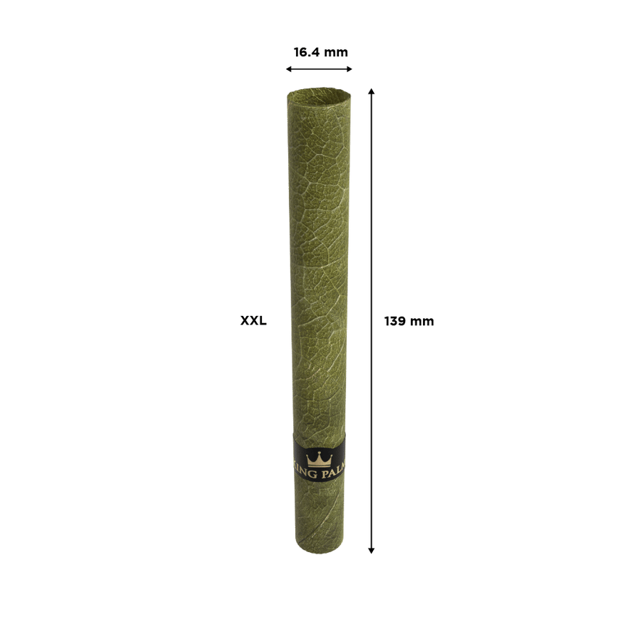 80 XXL Rolls