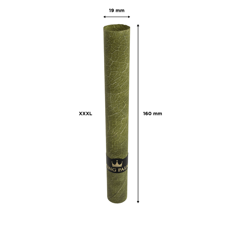 40 XXXL Rolls