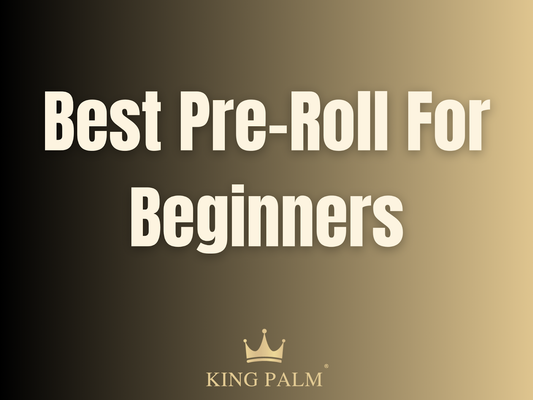 Best Pre Roll for Beginners: Smooth & Easy Start | King Palm