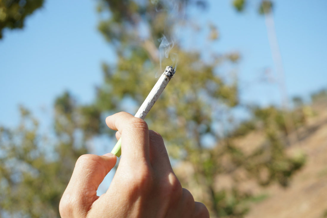 do the cigarettes expire Do CBD Cigarettes Expire: Shelf Life and Storage Tips – King Palm do the cigarettes expire Do CBD Cigarettes Expire: Shelf Life and Storage Tips – King Palm