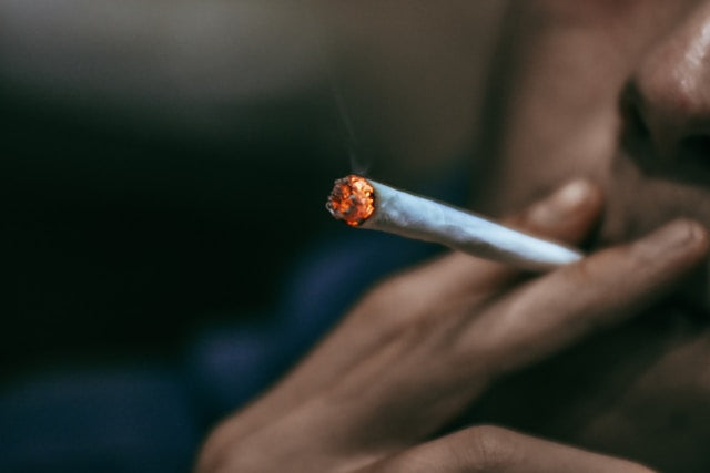 Pure Palm Leaf Cones for Cannabis Connoisseurs: Elevate Your Smoking Experience