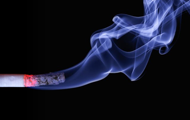 Cannabis Wraps Without Synthetic Materials: A Natural Choice for Smokers