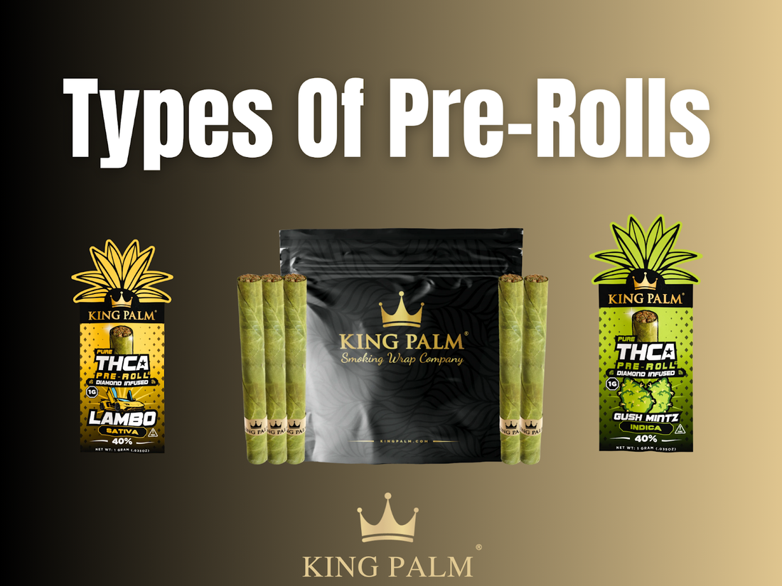 Types Of Pre-Rolls: Regular, Infused, CBD, THCA & More