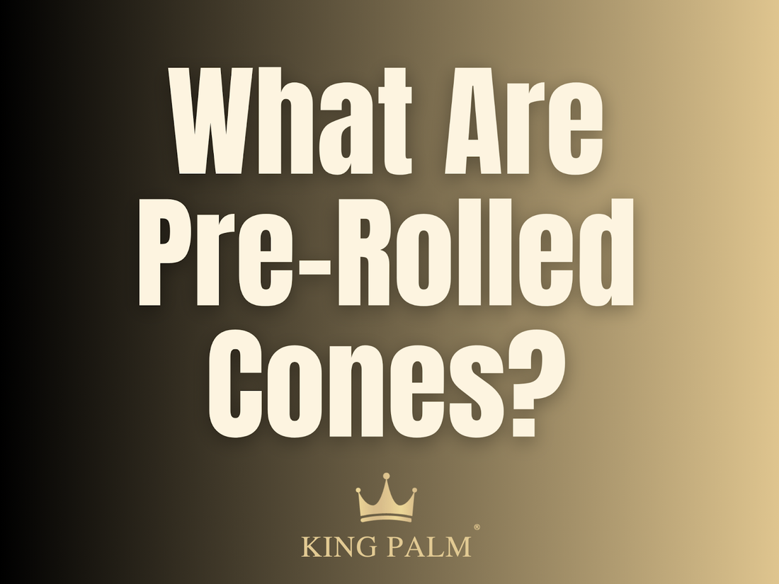 What Are Pre-Rolled Cones? Sizes, Filters, and Materials