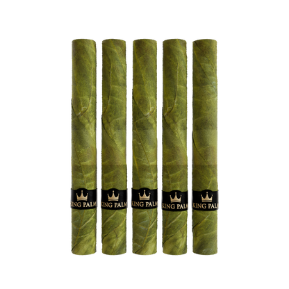 5 XXXL Bundle
