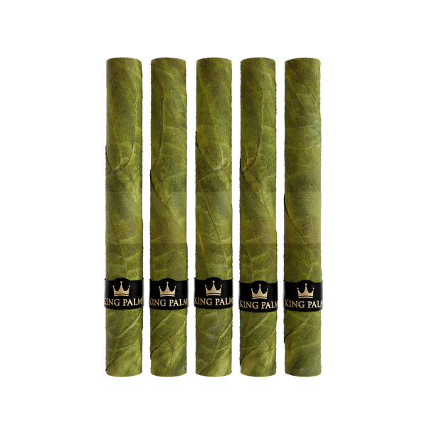 5 XXXL Bundle