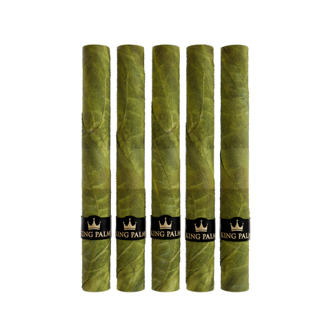 5 XXXL Bundle