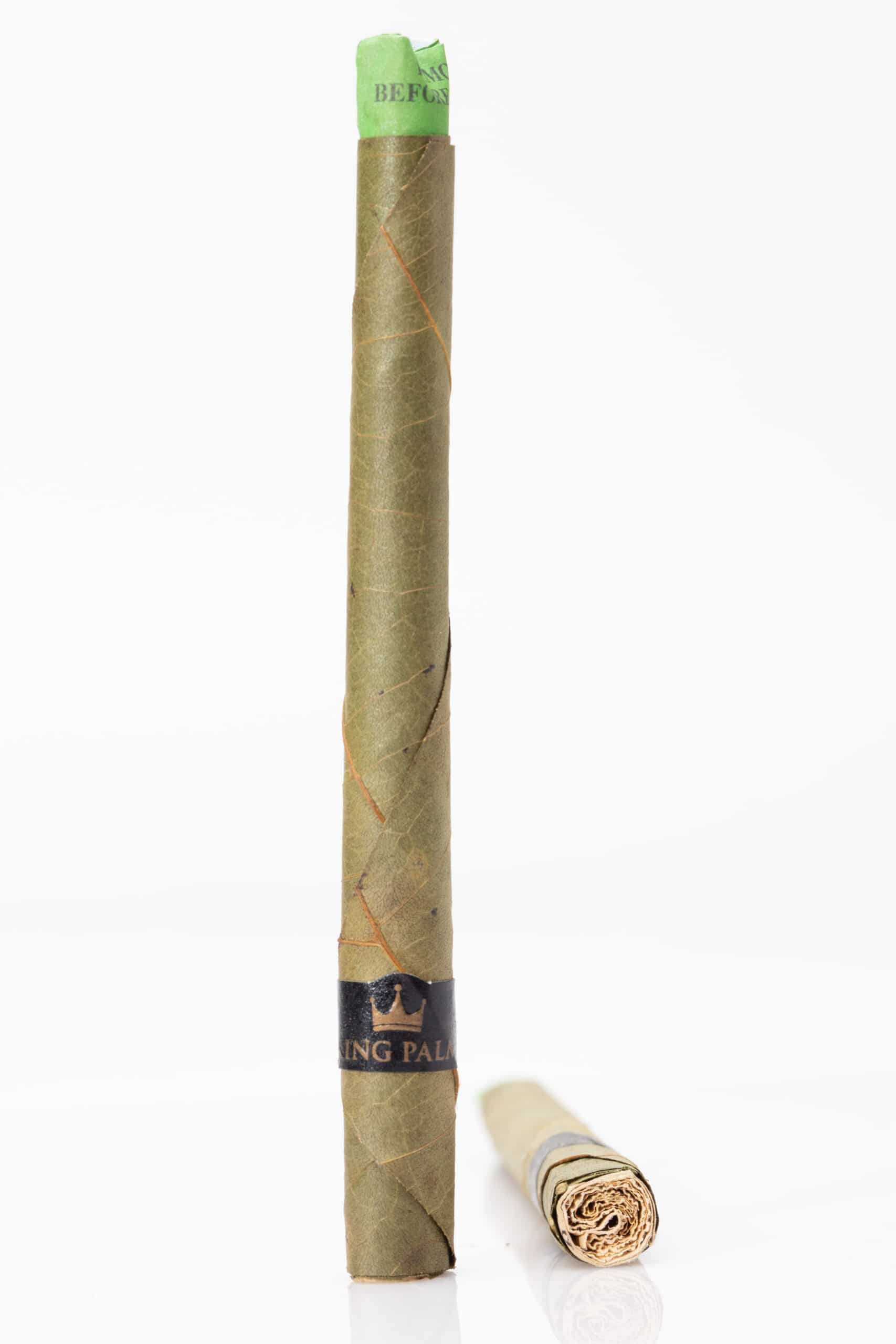 evo heated tobacco sticks Ploom EVO Amber Sticks