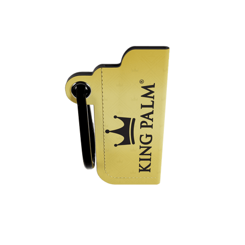 Lighter Sleeve