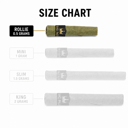 5 Rollie Rolls