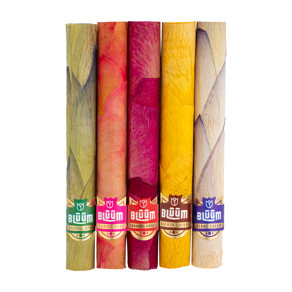 Blue Lotus - Berry Cream King Palm Blue Lotus - Berry Cream King Palm