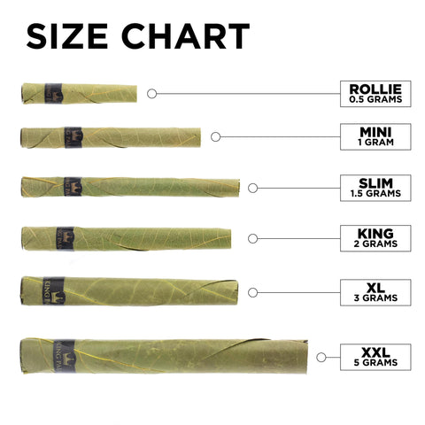 80 XXL Rolls