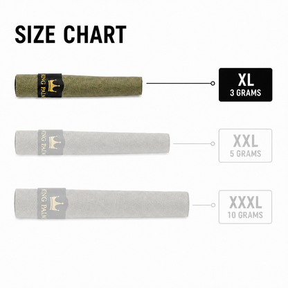 5 XL Rolls