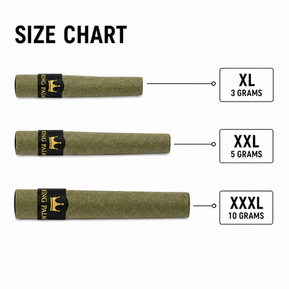 5 XXL Rolls