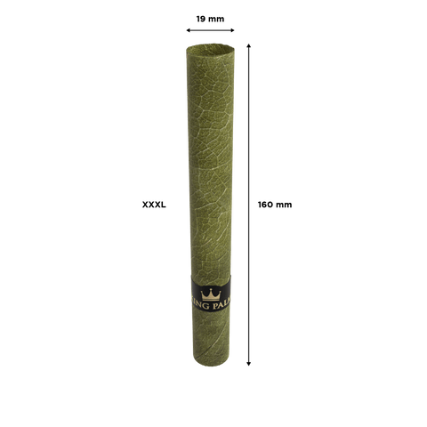 1 XXXL Roll - Limited Edition