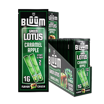 Green Lotus - Caramel Apple King Palm Green Lotus - Caramel Apple King Palm