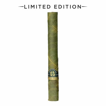 5 Mini Rolls - Irish Cream - Limited Edition