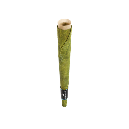 King Palm x Futurola palm leaf blunt cone, angled top view