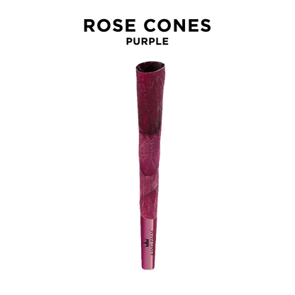 Single Rose Cones - King Size
