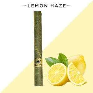 1 Mini Roll - Lemon Haze