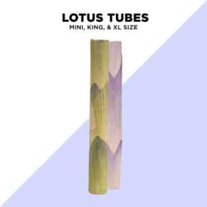 Single Lotus Tubes - 3 Sizes Available