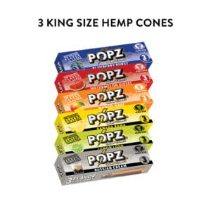 3 King Size Hemp Cones | 6 Flavors Available